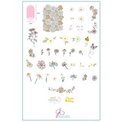 I Dream of Daisies (CjS-104) - Stampingplade, Clear Jelly Stamper